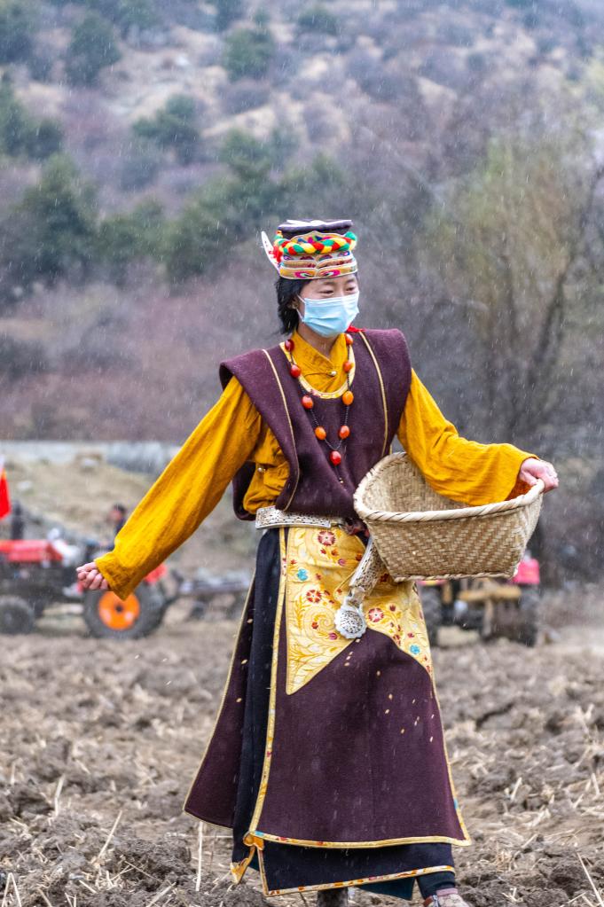 一年之计在于春丨特写：藏北桃花谷 细雨迎春耕