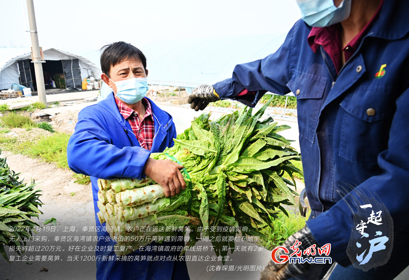 一起守“沪”|上海：企业复工复产 滞销蔬菜直接进食堂