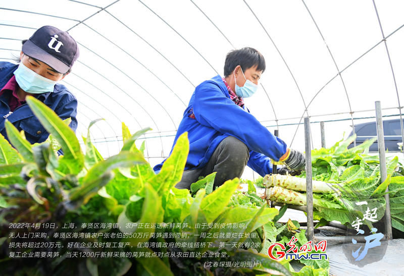 一起守“沪”|上海：企业复工复产 滞销蔬菜直接进食堂
