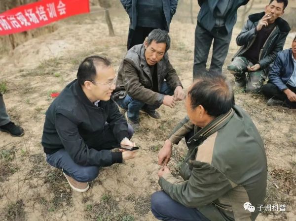 “科技支撑乡村振兴公益行动” 中国农学会走进陕北子洲县