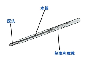 【防疫科普】如何正确使用体温计？