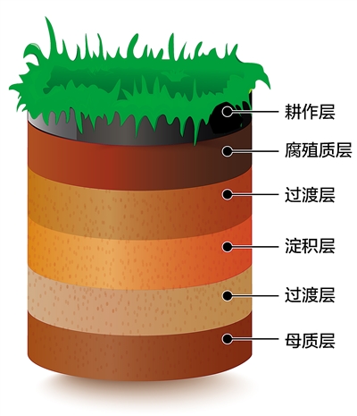 黑土地为什么是黑色的？