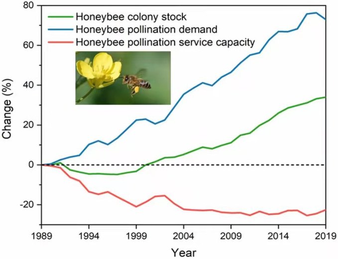 【科普中国智惠农民】小蜜蜂不够用了？研究显示农业授粉蜜蜂缺口大