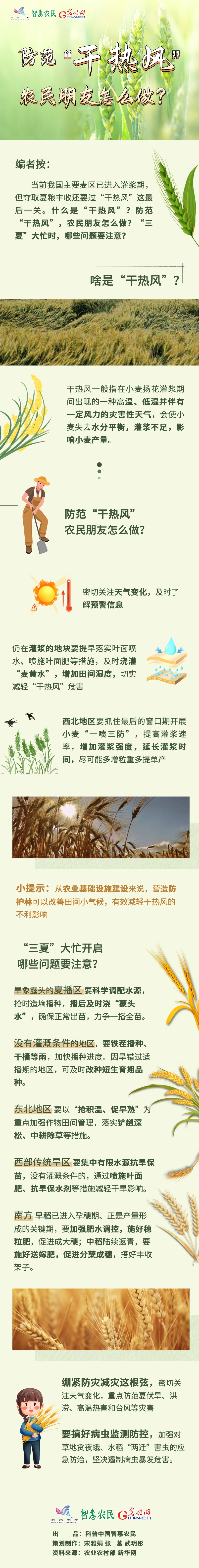 【科普中国智惠农民】防范“干热风”，农民朋友怎么做？