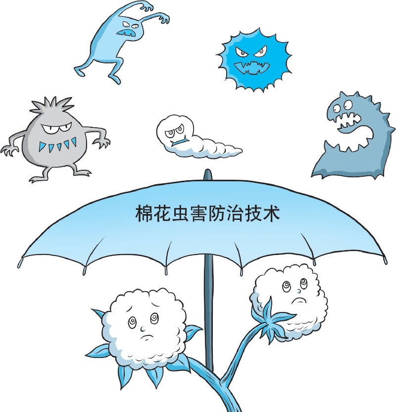 【科学种植百问百答】棉花虫害综合防治技术有哪些？