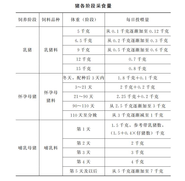 【科学养殖百问百答】猪每天应喂多少饲料？喂几次适宜？