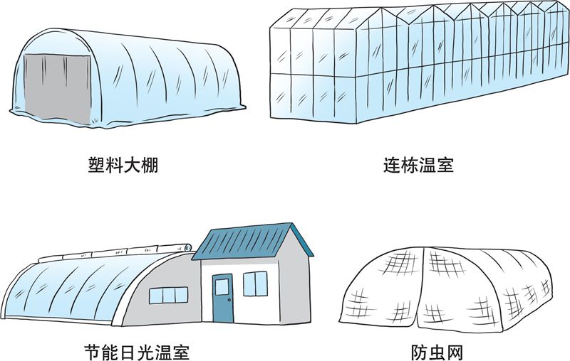 【科学种植百问百答】常用的栽培设施有哪些类型？主要设施栽培的蔬菜品种有哪些？