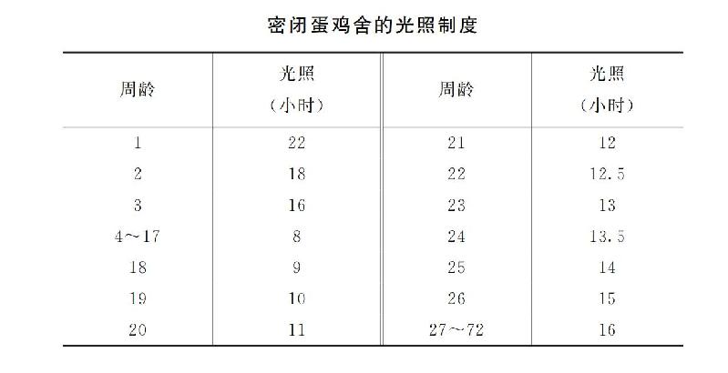 【科学养殖百问百答】如何布置鸡舍光源和设定光照时间？