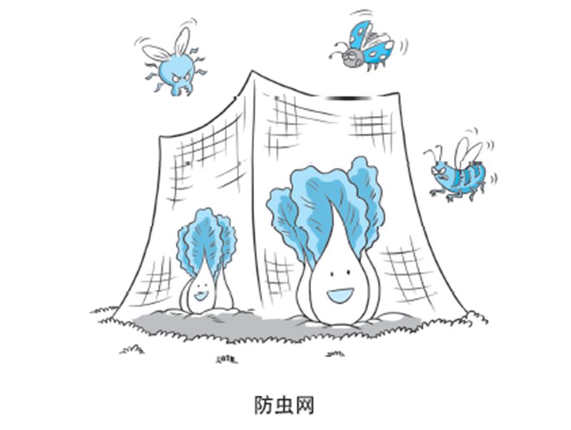 【科学种植百问百答】防虫网和遮阳网的特点和用途是什么？