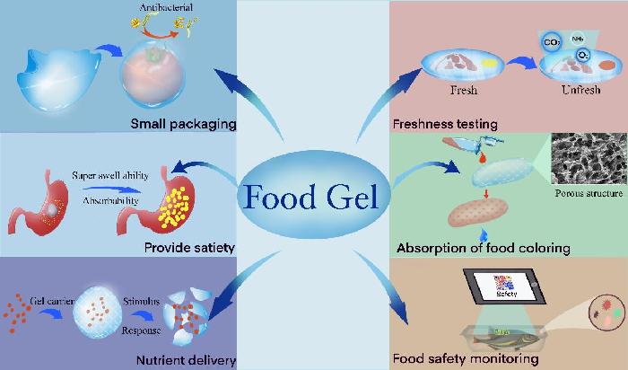 如何提升食品凝胶专业性及营养性？科学家展开系统分析