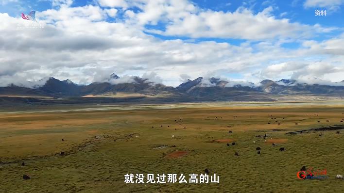 “80后”科学家的“诗与远方”：在青藏高原解开植物密语
