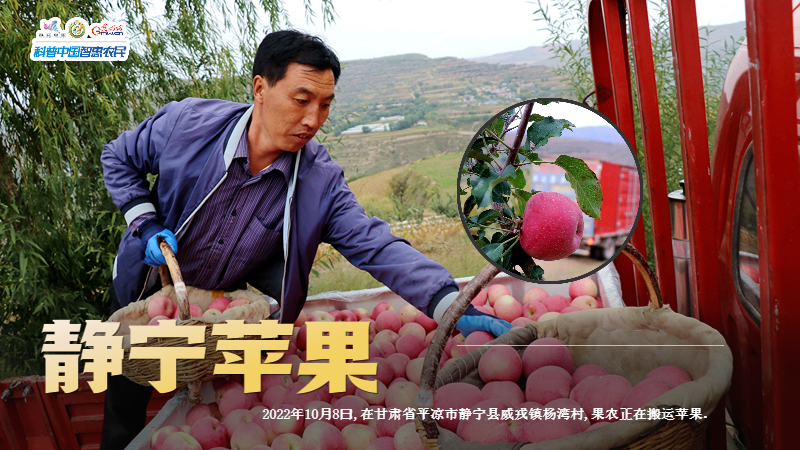 【海报】静宁苹果、宜昌蜜桔……这些果品品牌入选“精品培育计划”