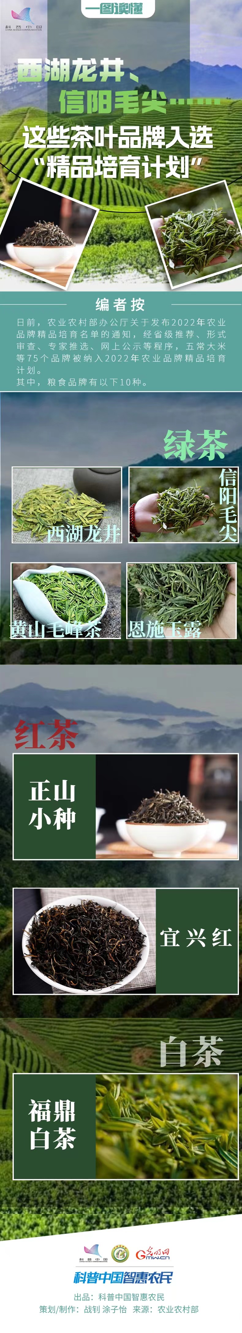 【一图读懂】西湖龙井、信阳毛尖……这些茶叶品牌入选“精品培育计划”