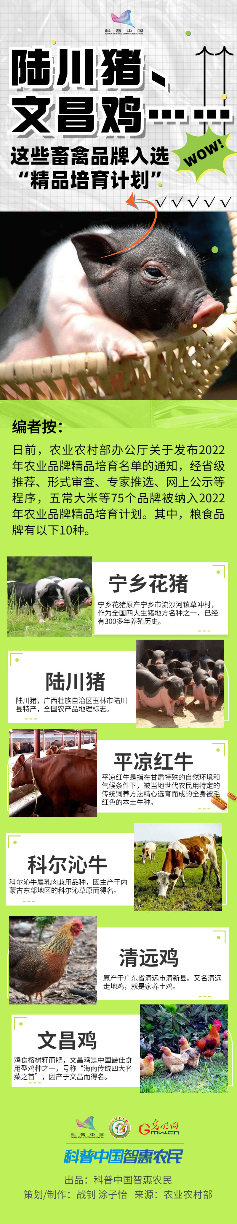 【一图读懂】陆川猪、文昌鸡……这些畜禽品牌入选“精品培育计划”