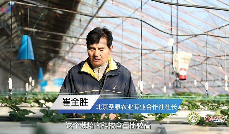 【科普中国智惠农民】现代农业如何走好“融合”之路？