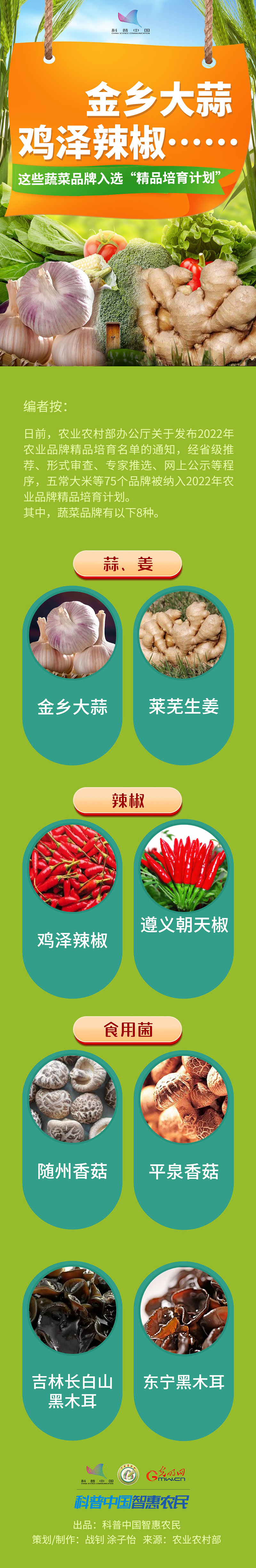 【一图读懂】金乡大蒜、鸡泽辣椒……这些蔬菜品牌入选“精品培育计划”