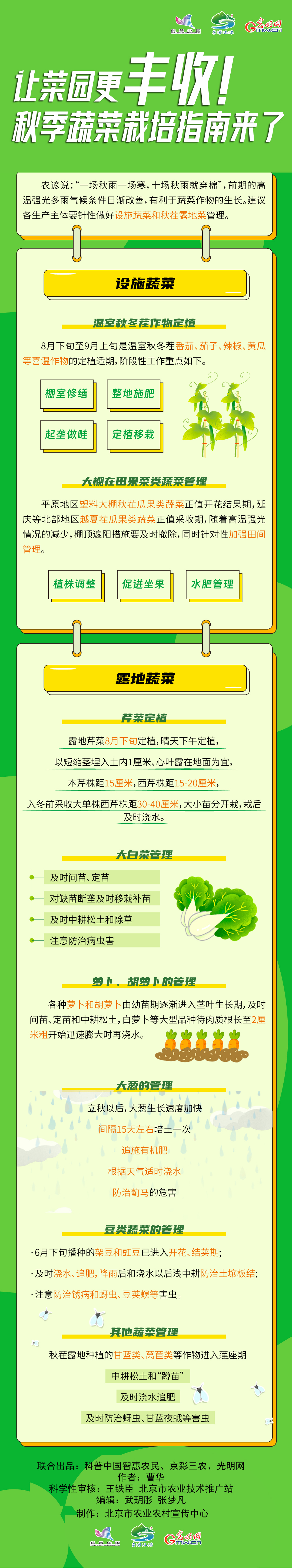 【智惠农民】让菜园更丰收！秋季蔬菜栽培指南来了