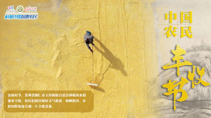 中国农民丰收节海报｜“粮”辰美景，“丰”景如画
