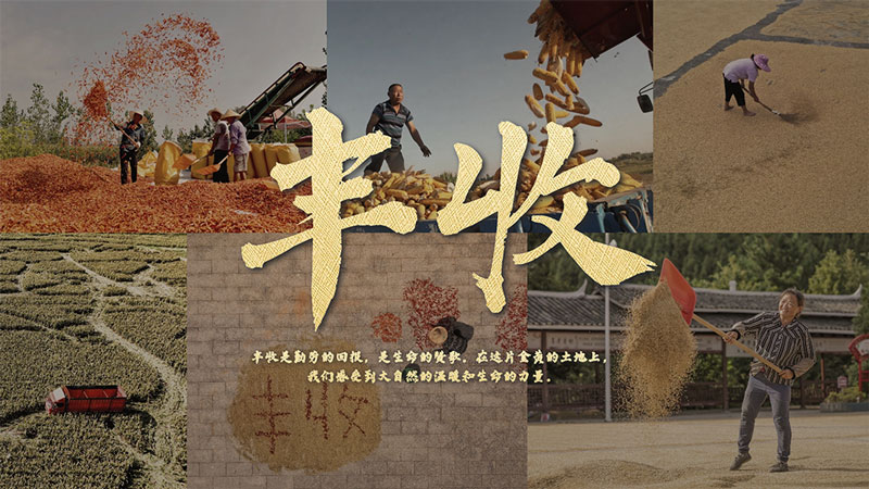 中国农民丰收节海报｜“粮”辰美景，“丰”景如画