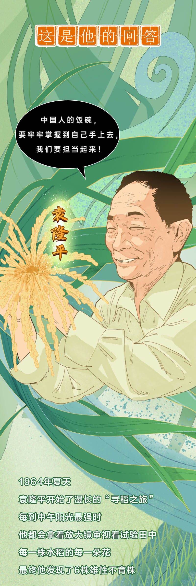 一粒种子改变世界：手绘长图纪念中国攻克杂交水稻难关 50 周年