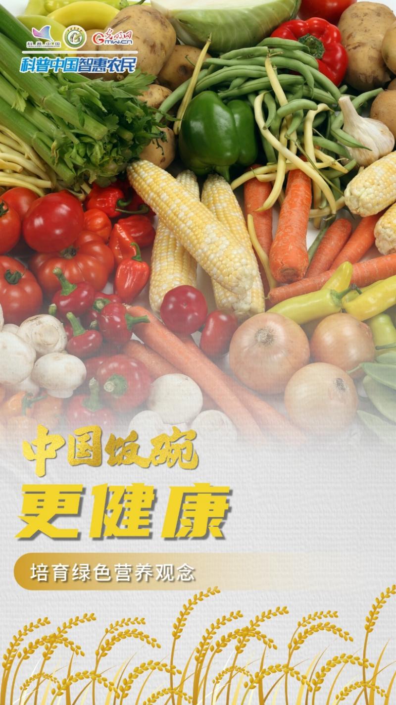 全国粮食安全宣传周丨践行大食物观 端稳中国饭碗