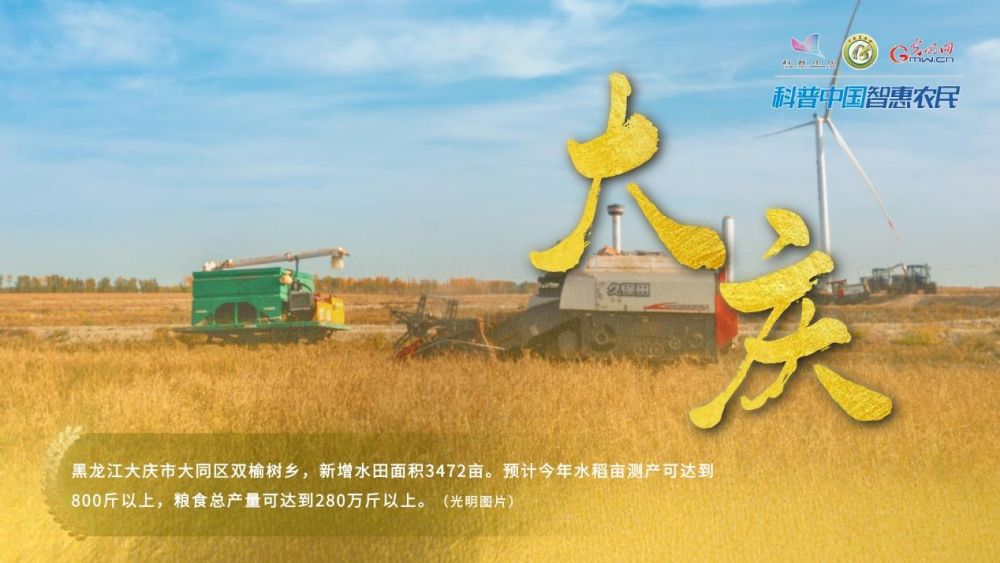 丰收中国｜稻菽飘香 黑龙江迎来金色丰收季
