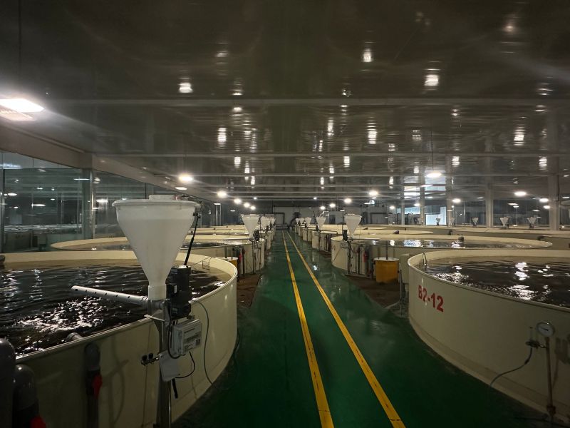 【大美湿地 润泽齐鲁】在济宁，遇见亚洲最大草甸型湖泊湿地