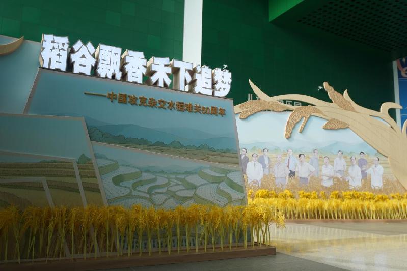 在中国科技馆听院士讲杂交水稻 | 科学家与设计师共话展览第8期