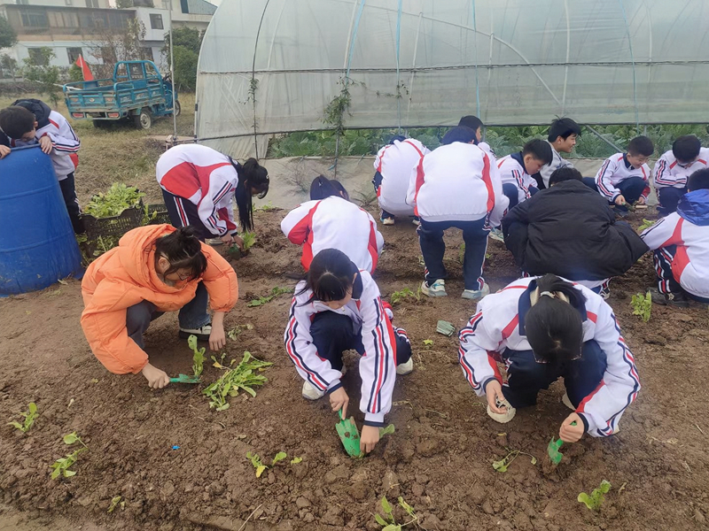 倪德：挖掘“土”资源，打造“金饭碗”