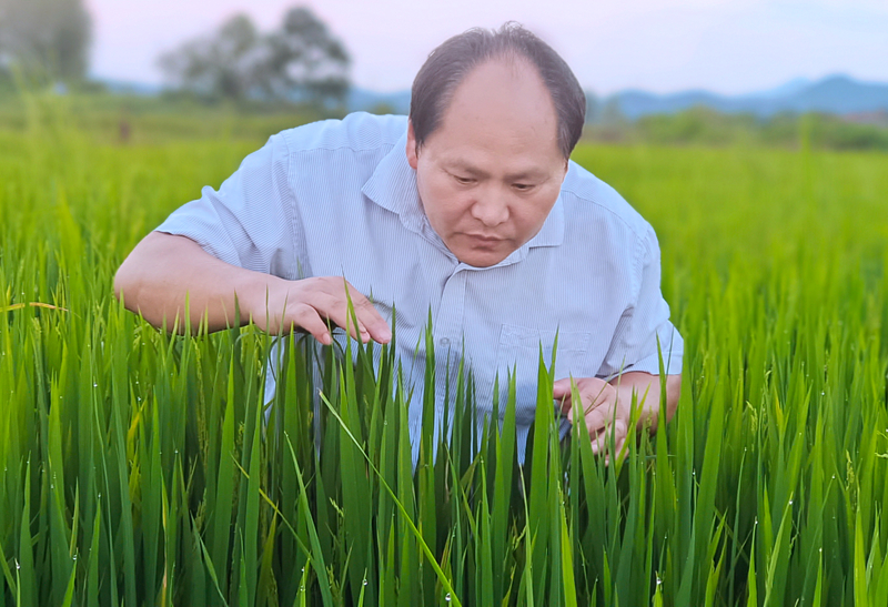 李火水：挥洒“奇思妙想”，“风风火火”逐梦沃野