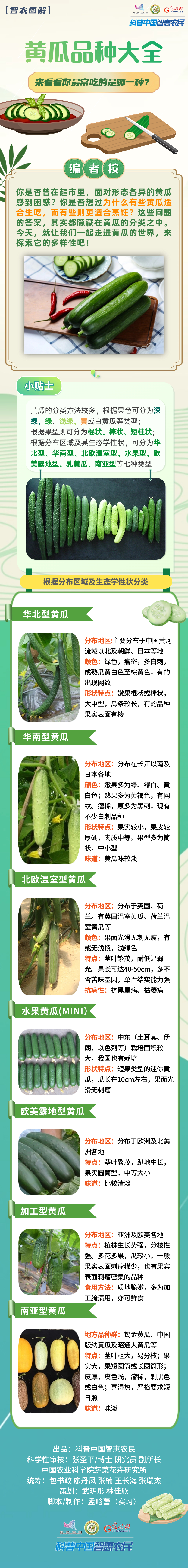 【智农图解】黄瓜品种大全：来看看你最常吃的是哪一种？
