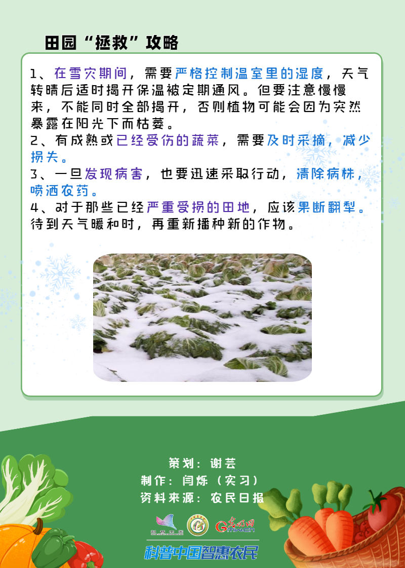 【智农挂图】冬季蔬菜“保暖”指南