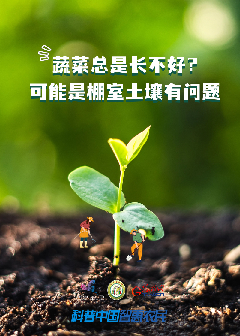 【智农挂图】蔬菜总是长不好？可能是棚室土壤有问题