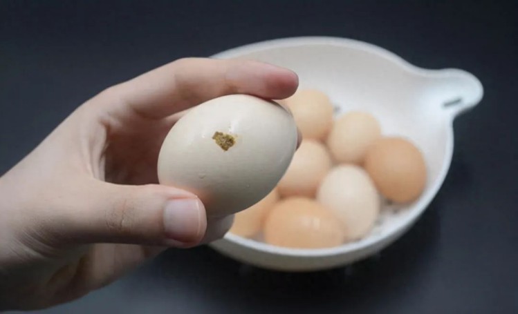 鸡蛋上有一样东西很脏，不注意小心“病从口入”