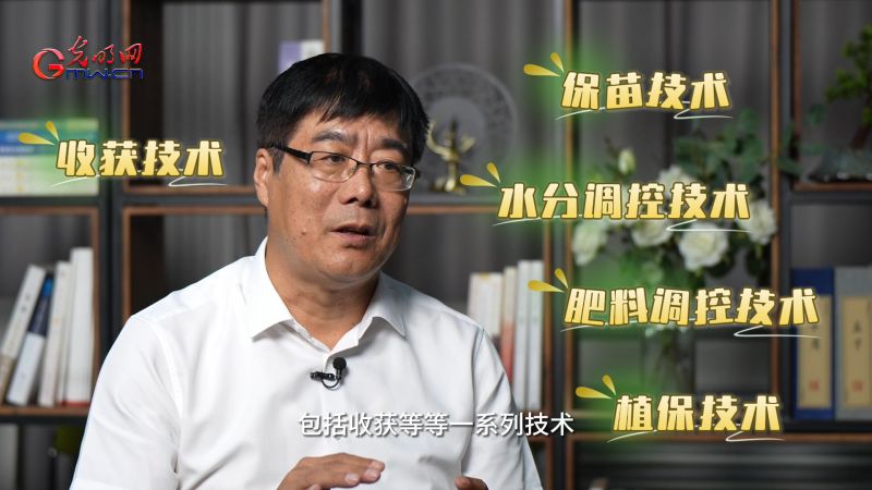 丰收有我丨良种配良法，大豆田里高产“耕”新