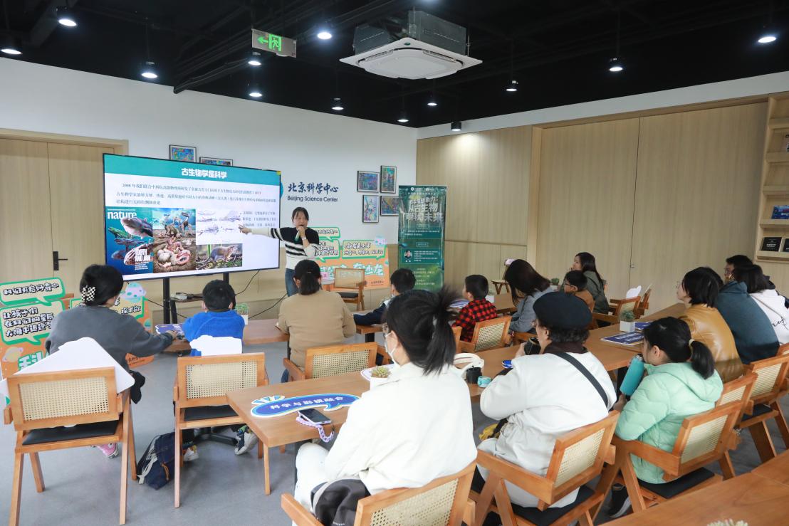 科学与想象力的交响：从古生物到科幻未来的奇妙之旅