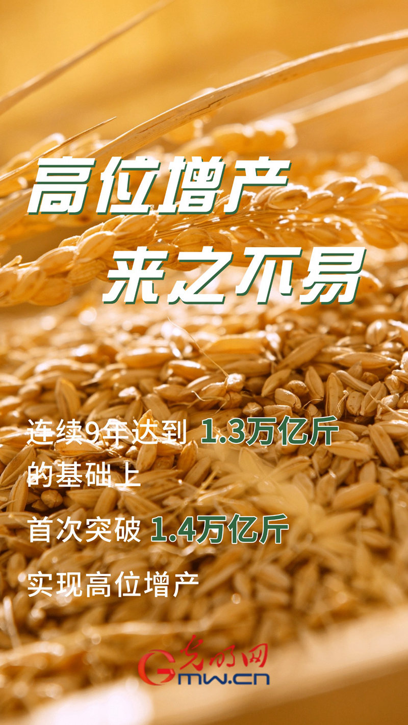 可视化丨我国粮食总产量首次突破1.4万亿斤