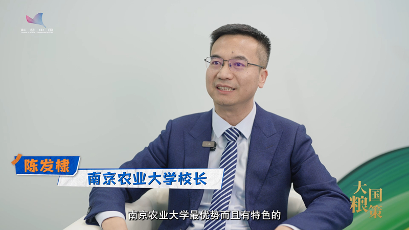 【大国粮策·强农报国】南京农业大学校长陈发棣：加强学科实践，厚植爱农情怀