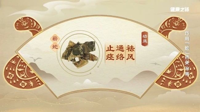 细数与“蛇”有关的中药，内服、外用功效强！