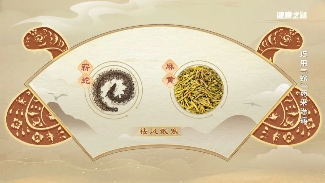细数与“蛇”有关的中药，内服、外用功效强！