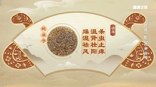 细数与“蛇”有关的中药，内服、外用功效强！