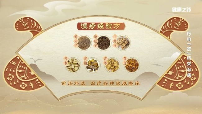 细数与“蛇”有关的中药，内服、外用功效强！