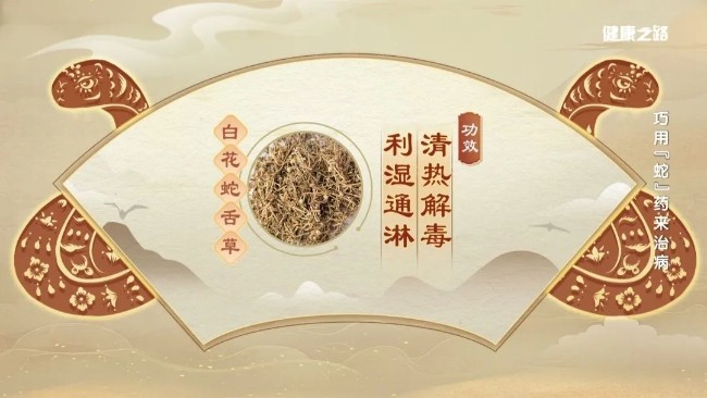 细数与“蛇”有关的中药，内服、外用功效强！
