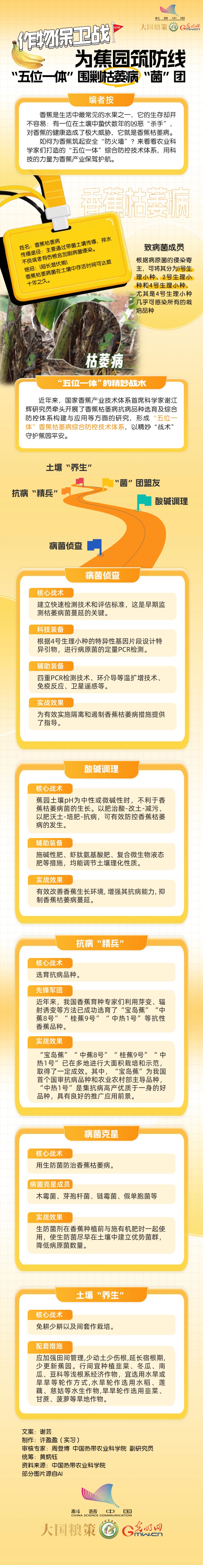 【大国粮策】作物保卫战：为蕉园筑防线，“五位一体”围剿枯萎病“菌”团
