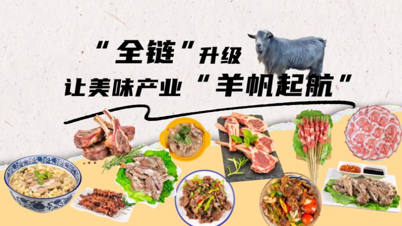 【大国粮策】“全链”升级，让美味产业“羊”帆起航