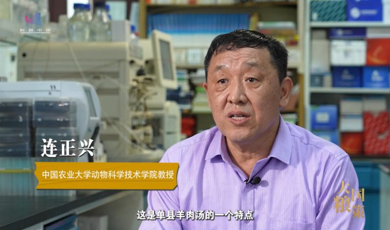 【大国粮策】“全链”升级，让美味产业“羊”帆起航