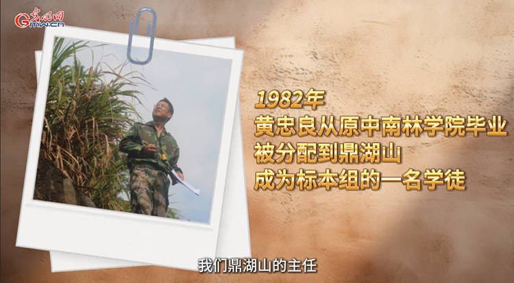 “活植物志”黄忠良：把人生融入鼎湖山的植物年轮