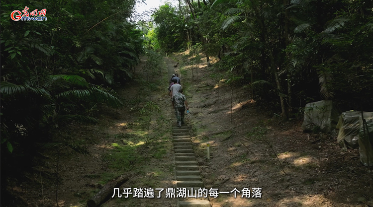 “活植物志”黄忠良：把人生融入鼎湖山的植物年轮