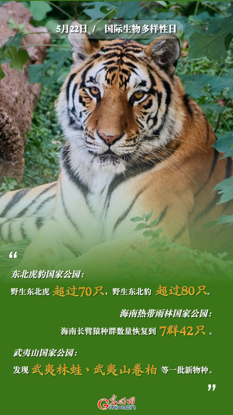 国际生物多样性日｜“数读”我国珍稀濒危野生动植物保护成绩单
