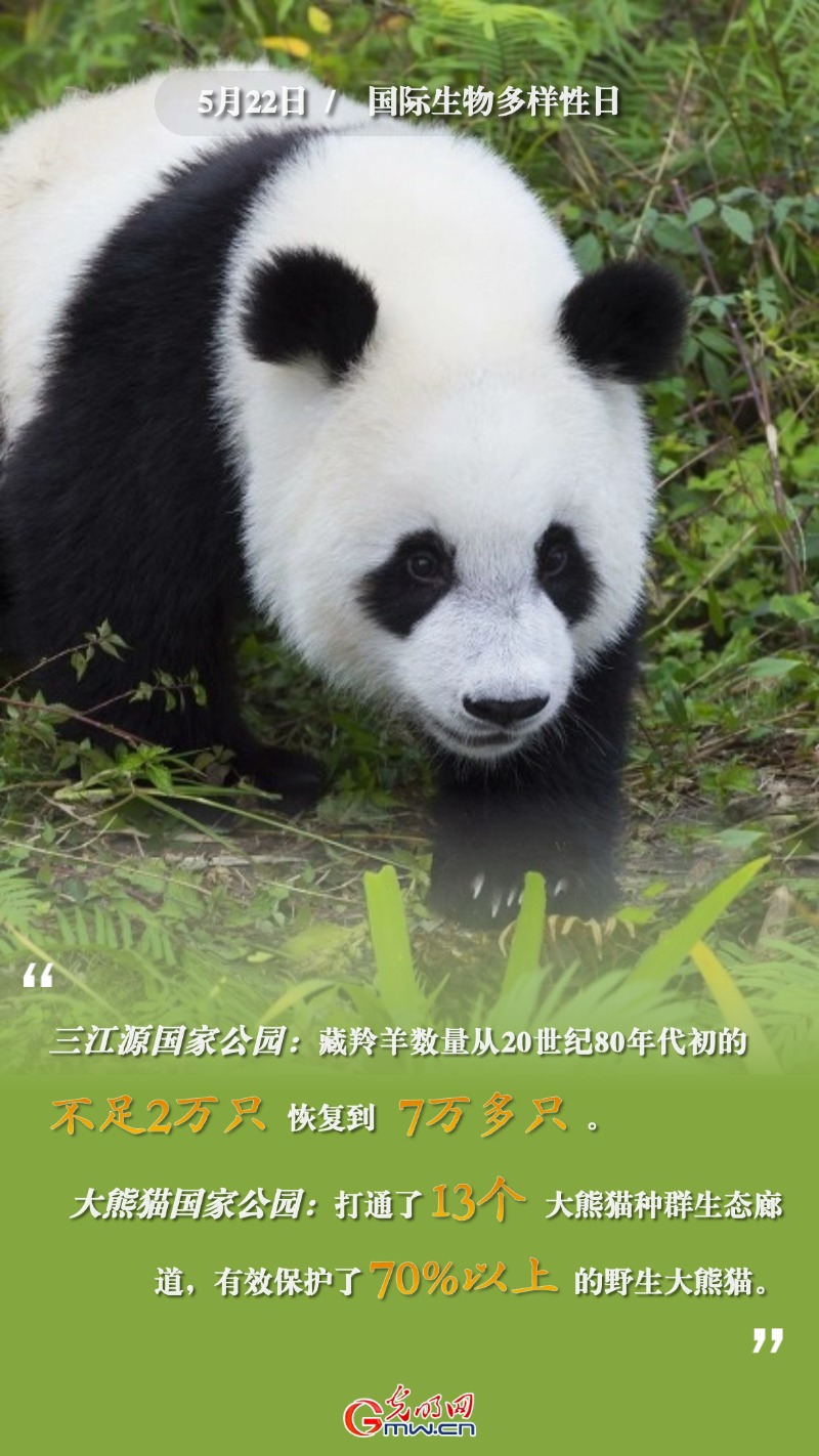 国际生物多样性日｜“数读”我国珍稀濒危野生动植物保护成绩单